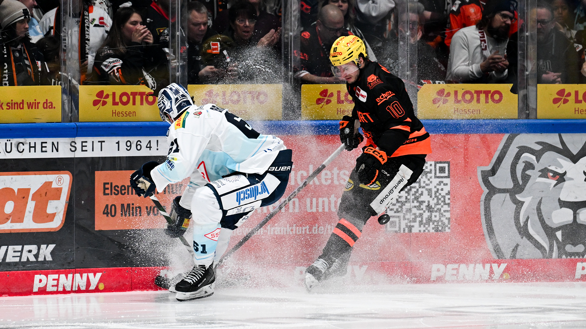 Löwen Frankfurt gg. Dresdner Eislöwen